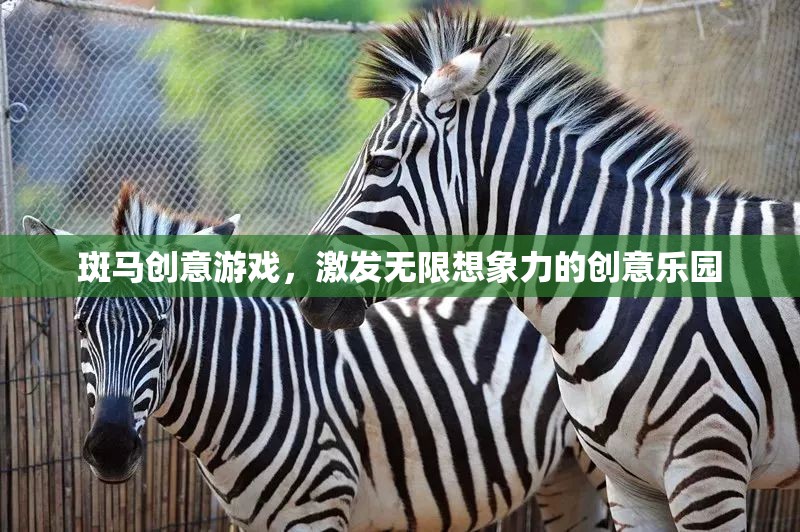 斑馬創(chuàng)意游戲，激發(fā)無限想象力的創(chuàng)意樂園