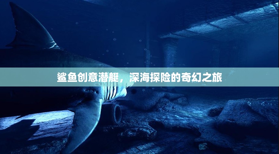 鯊魚創(chuàng)意潛艇，開啟深海探險(xiǎn)的奇幻之旅  第3張