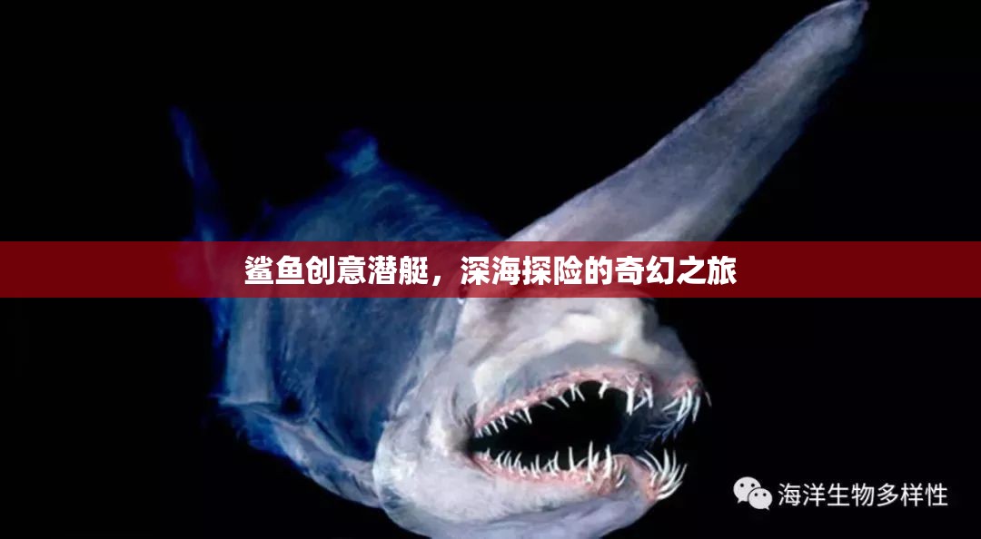 鯊魚創(chuàng)意潛艇，開啟深海探險(xiǎn)的奇幻之旅  第2張