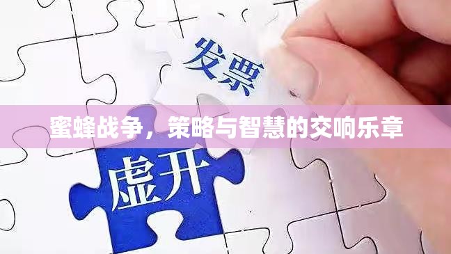 蜜蜂戰(zhàn)爭，策略與智慧的交響樂章