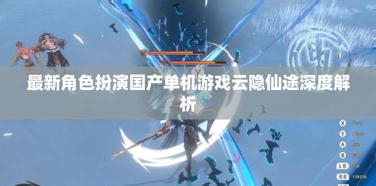 云隱仙途，國產(chǎn)角色扮演單機游戲的深度解析