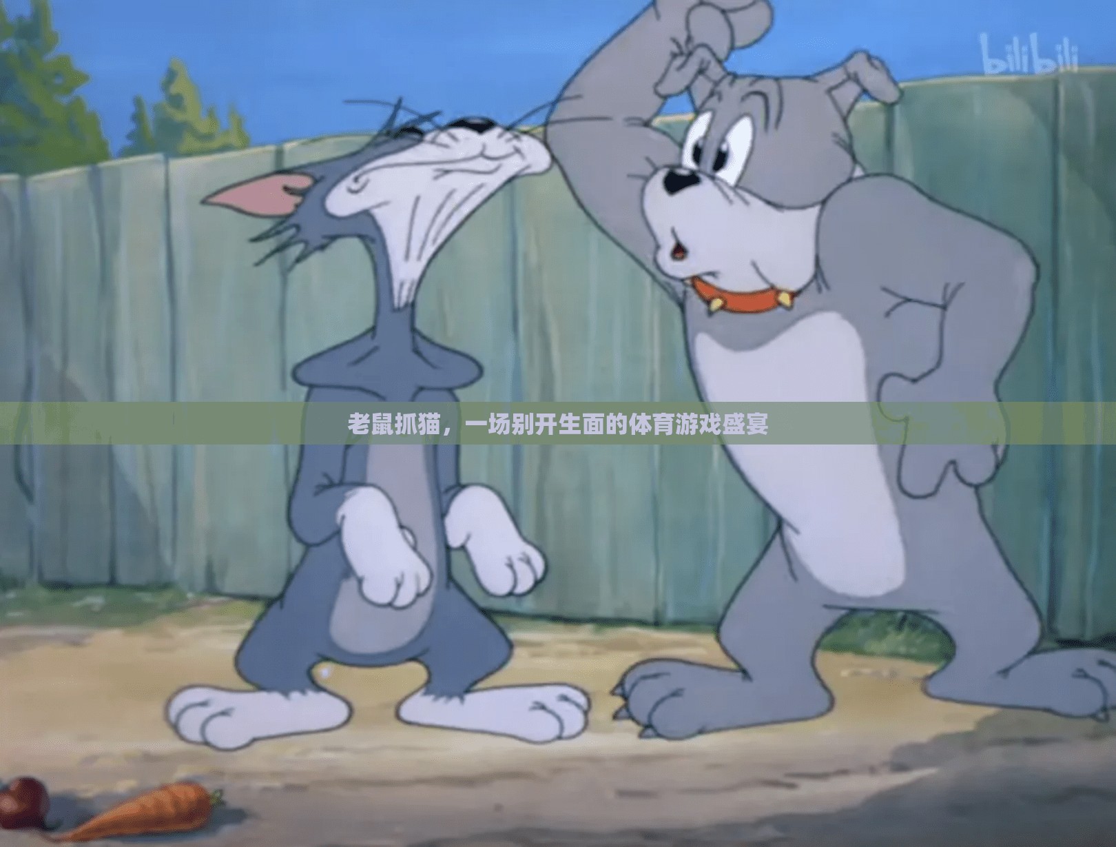 別開生面的體育游戲，老鼠抓貓的奇妙對決