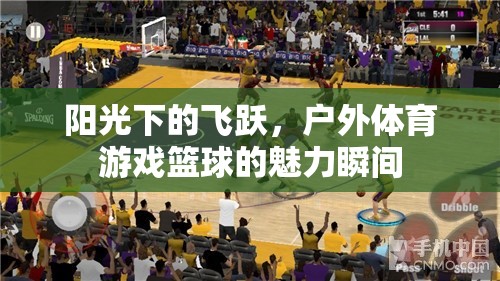 陽光下的飛躍，戶外籃球的魅力瞬間