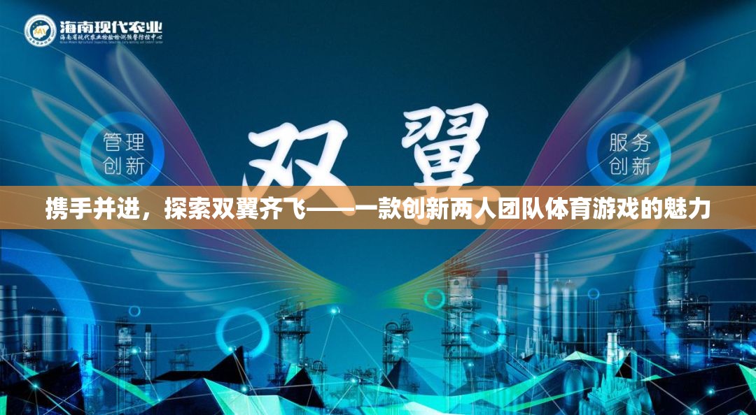 雙翼齊飛，探索創(chuàng)新兩人團(tuán)隊(duì)體育游戲的魅力  第2張
