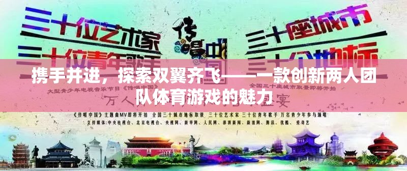 雙翼齊飛，探索創(chuàng)新兩人團(tuán)隊(duì)體育游戲的魅力  第3張