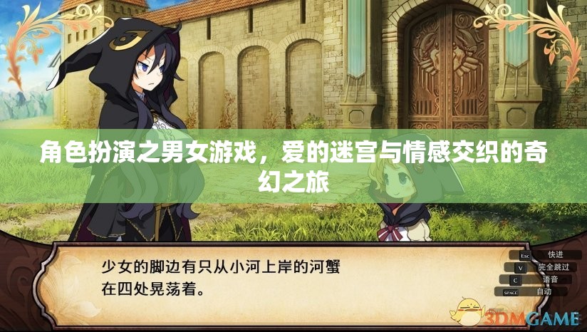 愛的迷宮，角色扮演中的情感交織奇幻之旅