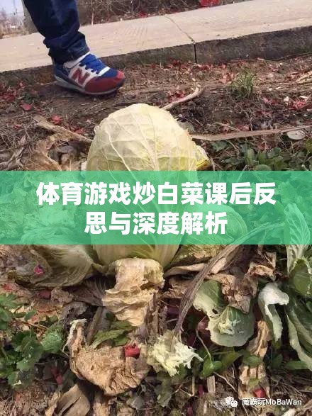 體育游戲‘炒白菜’的課后反思與深度解析，提升學(xué)生參與度與團隊協(xié)作的實踐探索