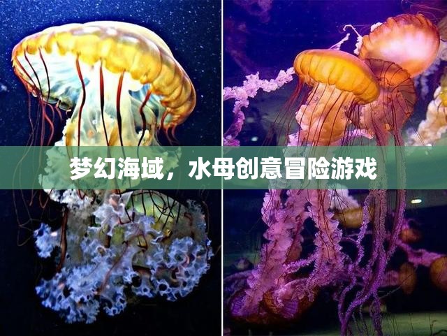 夢幻海域，水母的奇幻冒險(xiǎn)之旅