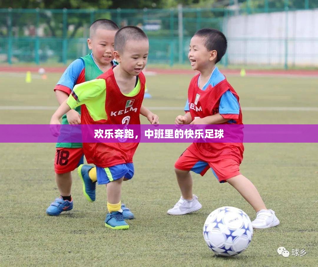 中班歡樂足球，奔跑中的快樂與成長  第3張