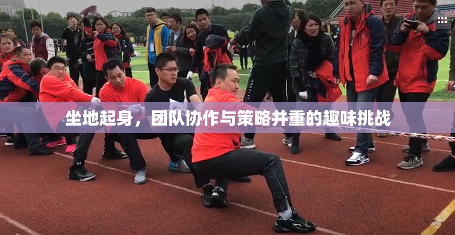 坐地起身，團隊協(xié)作與策略并重的趣味挑戰(zhàn)