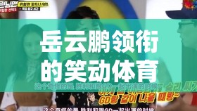笑動體育場，岳云鵬領銜的體育游戲綜藝盛宴，笑料與汗水交織的歡樂盛宴
