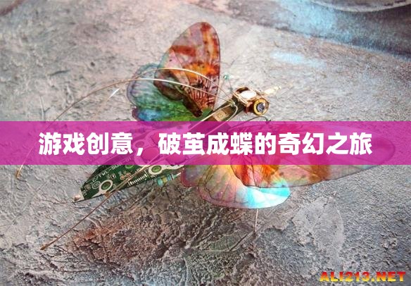 破繭成蝶，一場(chǎng)奇幻的冒險(xiǎn)游戲之旅