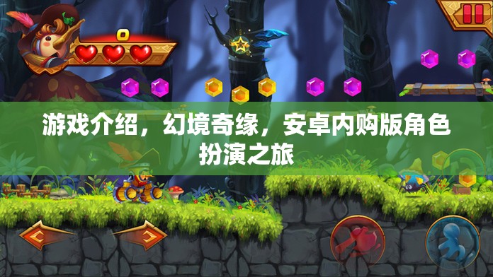 幻境奇緣，安卓內(nèi)購版角色扮演的奇幻之旅