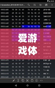 愛(ài)游戲體育app網(wǎng)頁(yè)版登錄，輕松暢享體育賽事