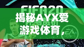 揭秘AYX愛(ài)游戲體育，黑錢傳聞與真實(shí)游戲體驗(yàn)的深度剖析  第3張