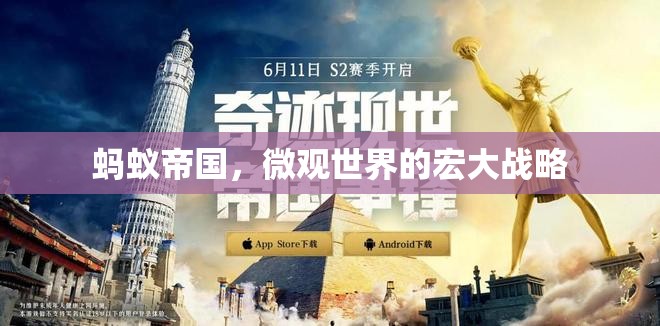 微觀世界的宏大戰(zhàn)略，螞蟻帝國(guó)的啟示  第2張