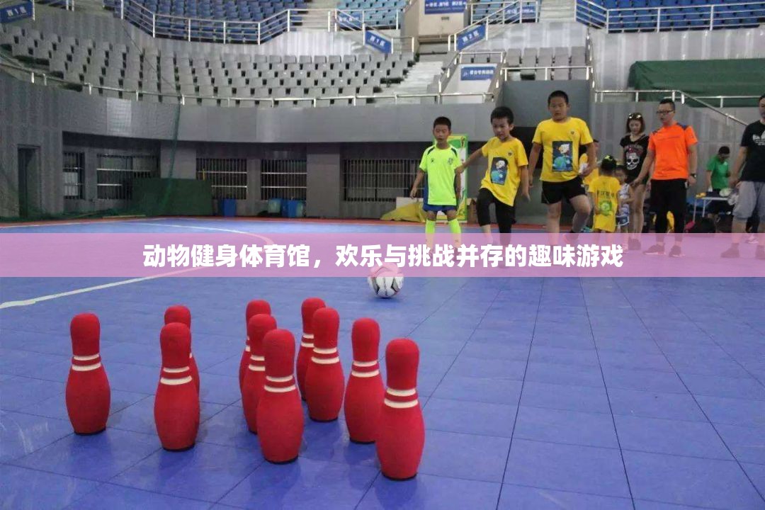 動物健身體育館，歡樂與挑戰(zhàn)并存的趣味游戲