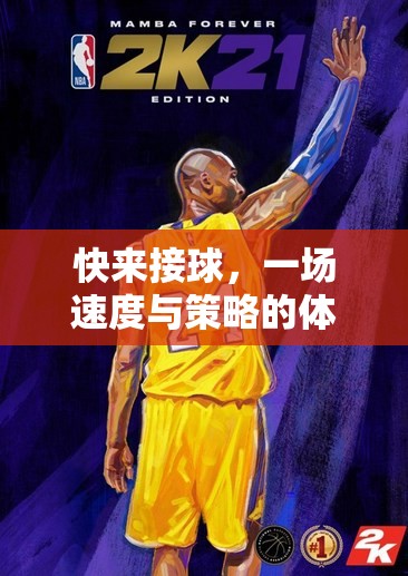 速度與策略的碰撞，一場令人熱血沸騰的接球體育游戲盛宴