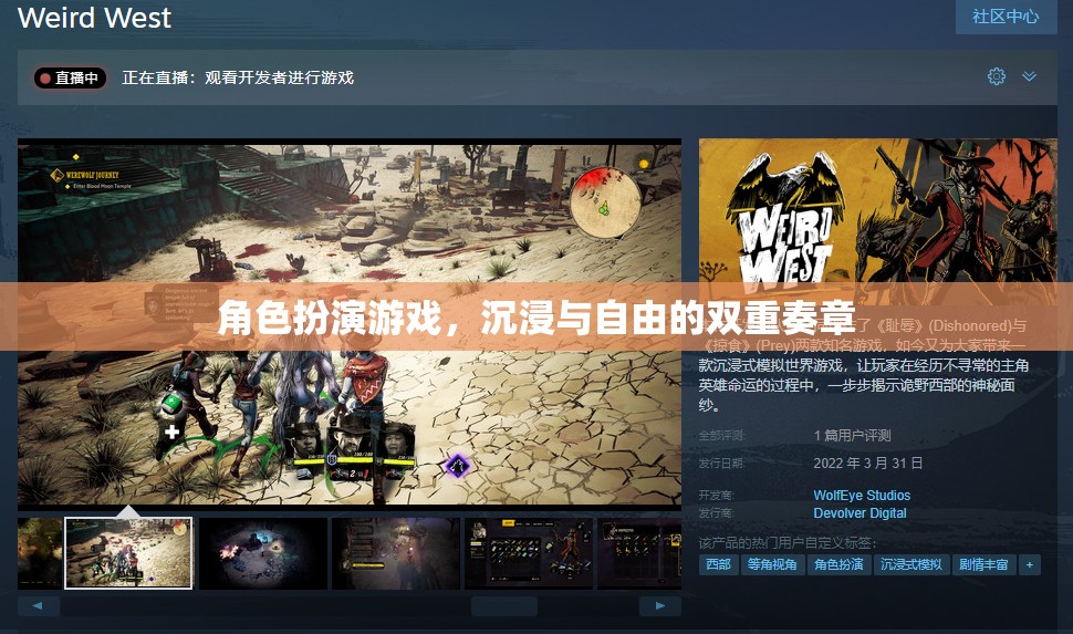 角色扮演游戲，沉浸與自由的雙重奏章  第2張