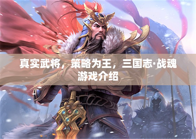 三國志·戰(zhàn)魂，真實武將，策略為王的熱血對決  第3張