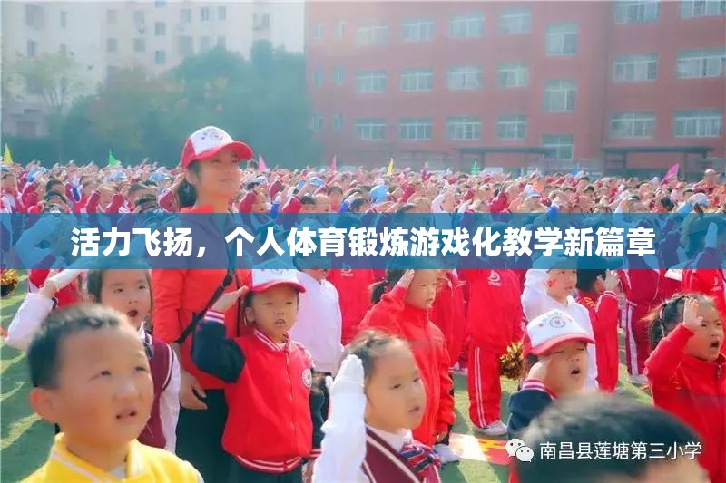活力飛揚(yáng)，個(gè)人體育鍛煉游戲化教學(xué)新篇章  第2張