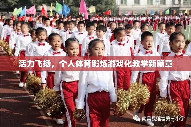 活力飛揚(yáng)，個(gè)人體育鍛煉游戲化教學(xué)新篇章