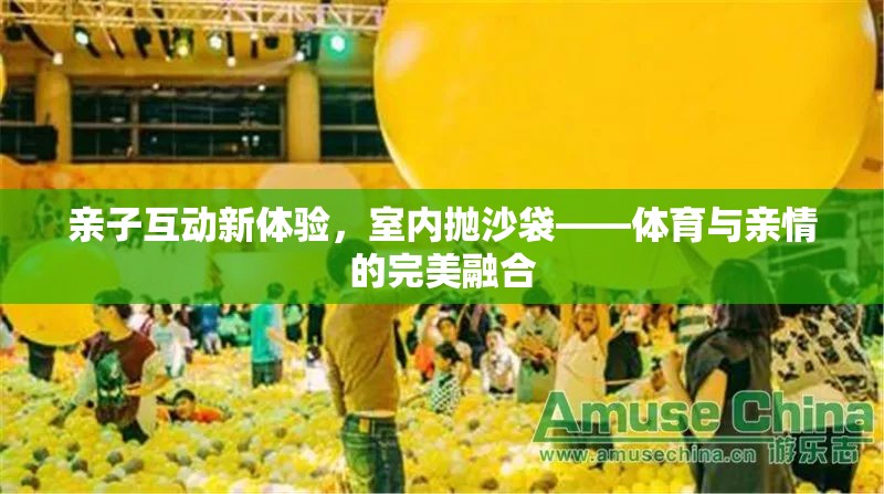 室內(nèi)拋沙袋，親子互動(dòng)新體驗(yàn)，體育與親情的完美融合