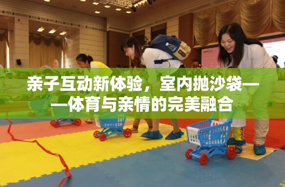 室內(nèi)拋沙袋，親子互動(dòng)新體驗(yàn)，體育與親情的完美融合