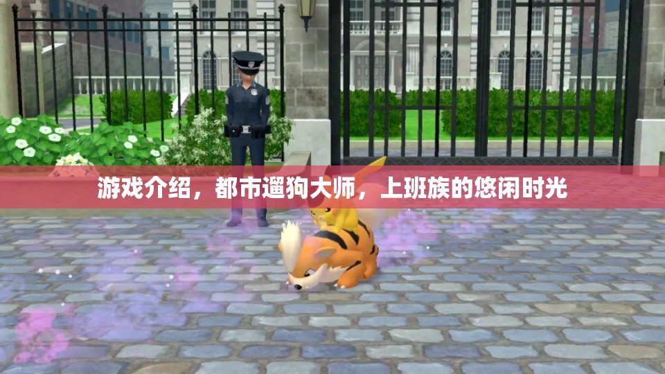 都市遛狗大師，上班族的悠閑時光  第3張