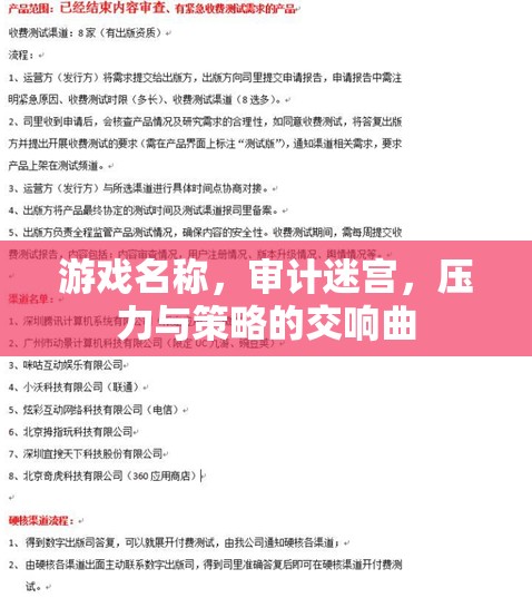審計(jì)迷宮，壓力與策略的交響曲  第2張
