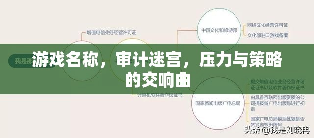 審計(jì)迷宮，壓力與策略的交響曲  第3張