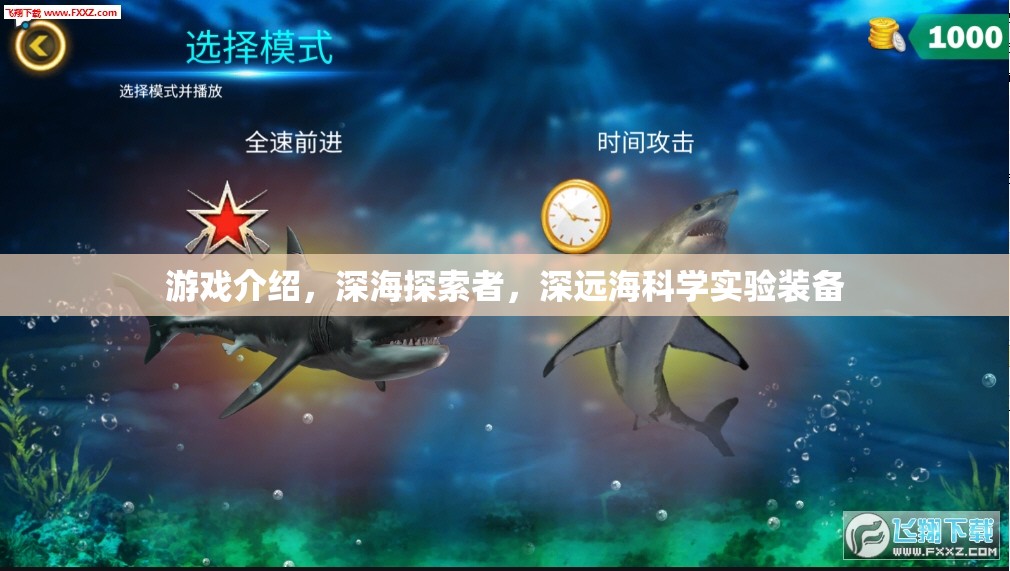 深海探索者，揭秘深遠?？茖W實驗裝備的奧秘  第3張
