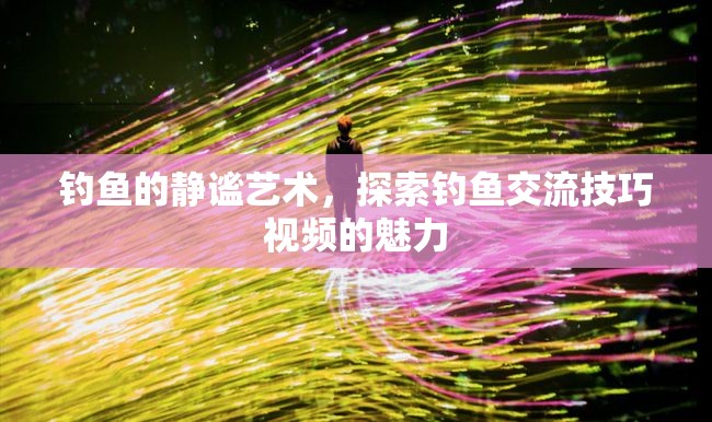 靜謐之樂，探索釣魚交流技巧視頻的魅力