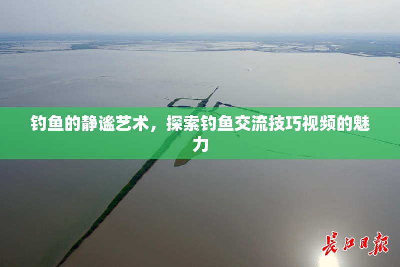 靜謐之樂，探索釣魚交流技巧視頻的魅力  第2張
