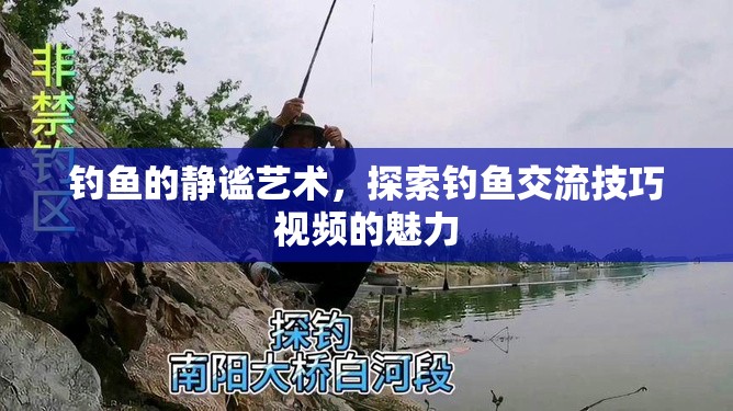靜謐之樂，探索釣魚交流技巧視頻的魅力  第3張
