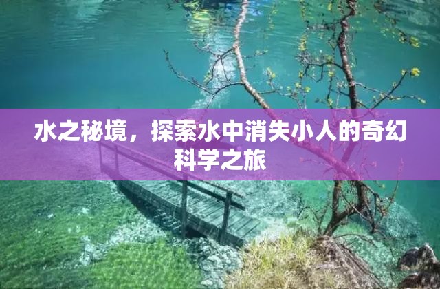 探索水之秘境，揭秘水中消失小人的奇幻科學之旅