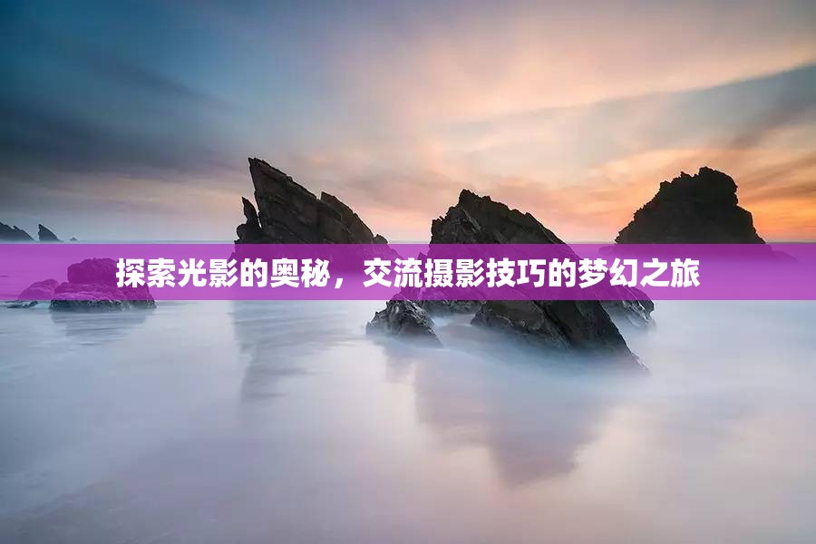 光影探索，一場攝影技巧交流的夢幻之旅