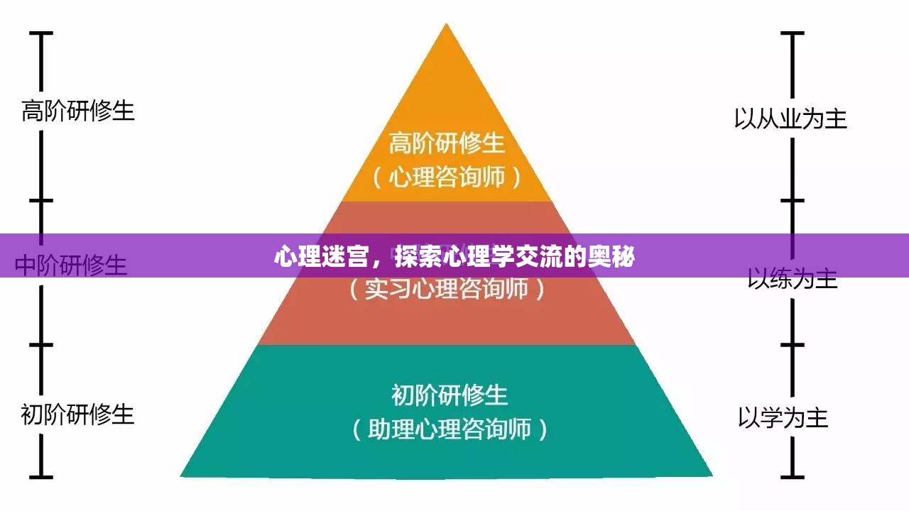 心理迷宮，解鎖心理學(xué)交流的奧秘