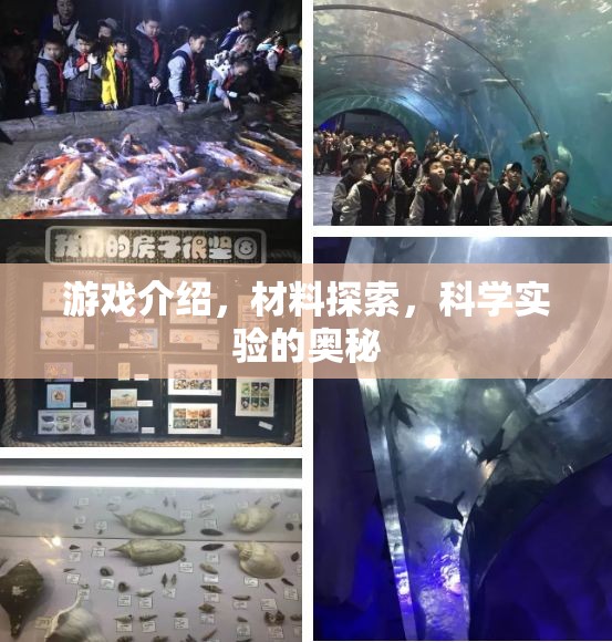 解鎖游戲中的科學(xué)奧秘，探索材料與實(shí)驗(yàn)的奇幻之旅  第3張