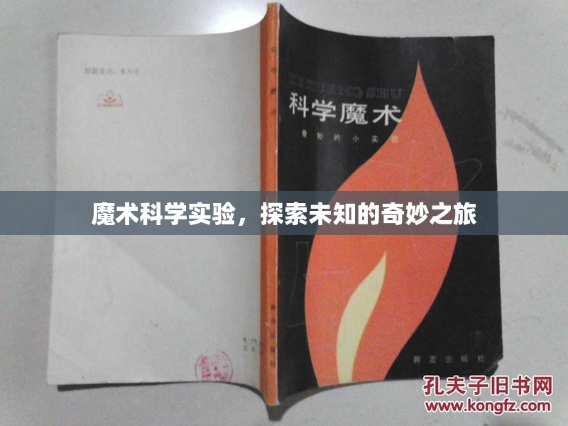 探索未知的奇妙之旅，魔術(shù)與科學(xué)的完美融合
