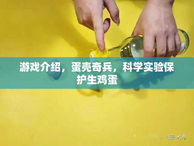 蛋殼奇兵，科學(xué)實(shí)驗(yàn)中的生雞蛋守護(hù)者
