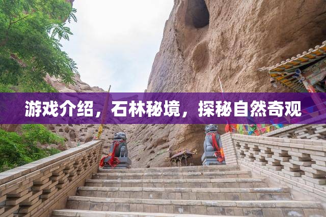 石林秘境，探秘自然奇觀之旅