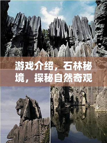 石林秘境，探秘自然奇觀之旅  第2張