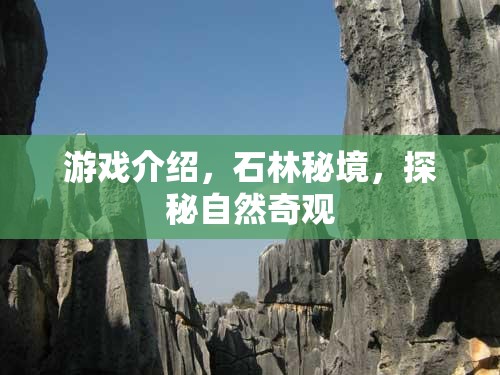 石林秘境，探秘自然奇觀之旅  第3張