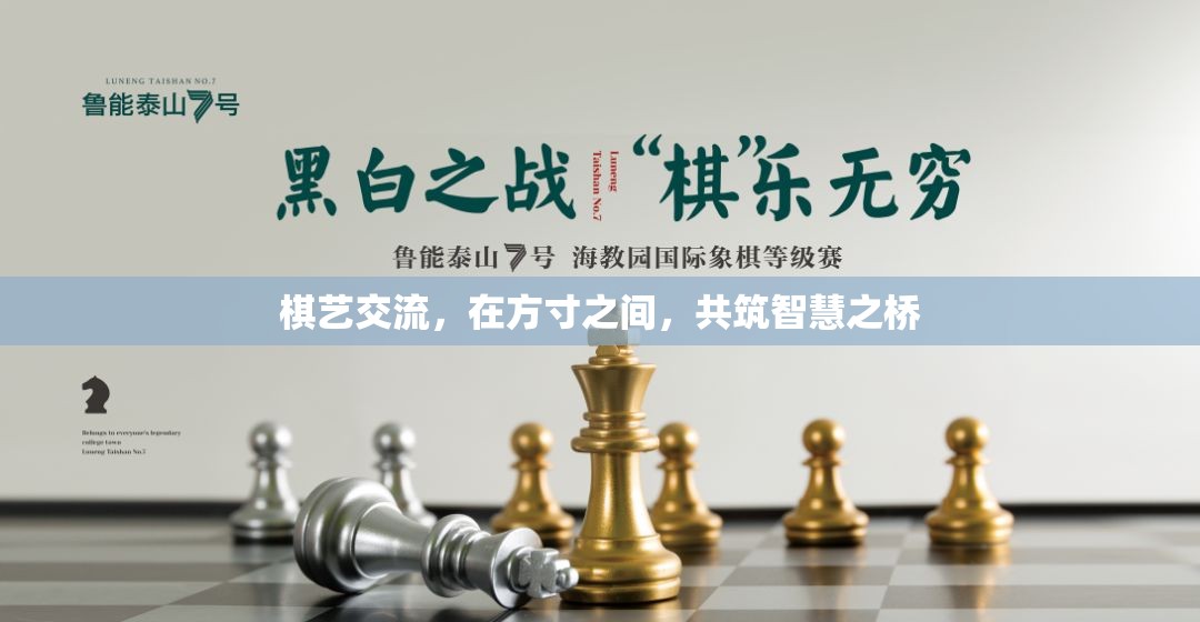 方寸之間，共筑智慧之橋，棋藝交流的魅力