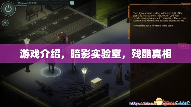 揭秘暗影實驗室，殘酷真相下的游戲世界