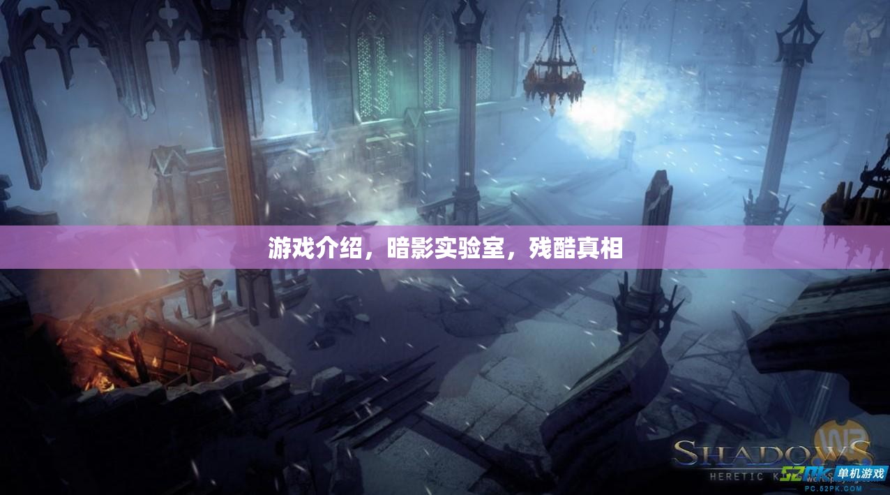 揭秘暗影實(shí)驗(yàn)室，殘酷真相下的游戲世界  第2張