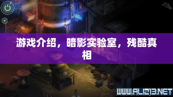 揭秘暗影實(shí)驗(yàn)室，殘酷真相下的游戲世界  第3張