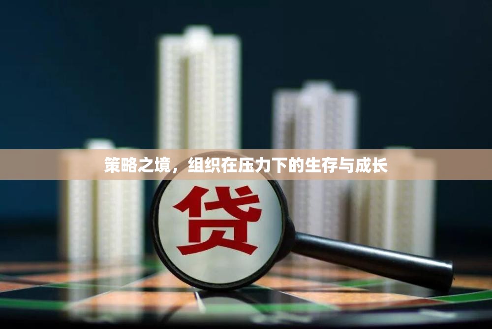 策略之境，組織在壓力下的生存與成長