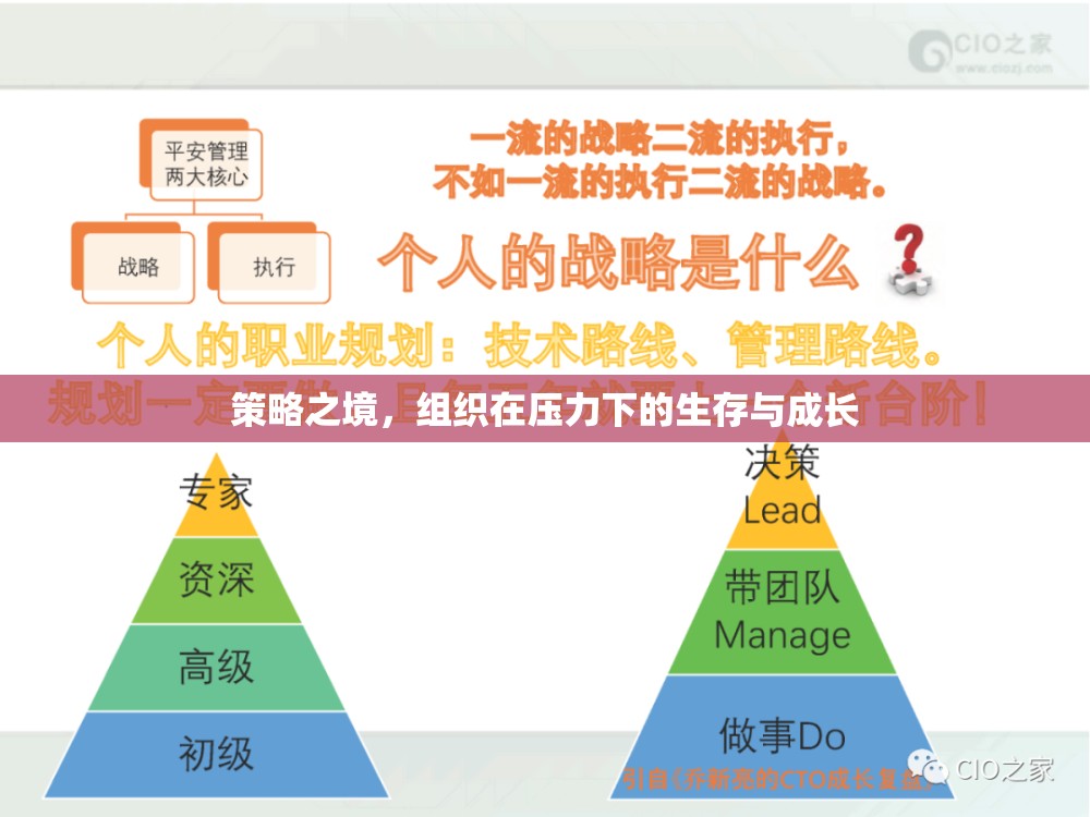 策略之境，組織在壓力下的生存與成長(zhǎng)